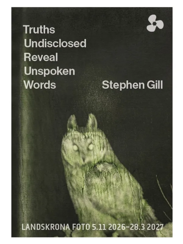 Truths Undisclosed Reveal Unspoken Words