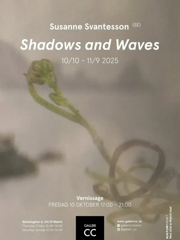 Shadows and Waves