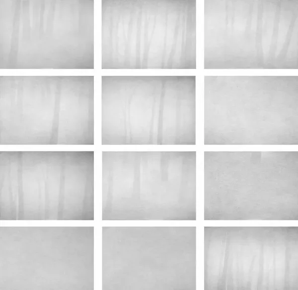 Aleksandra Kucharska