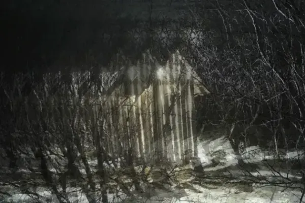 A Silhouette of Beginnings