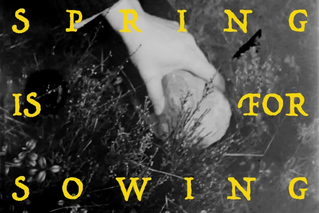 Spring is for Sowing