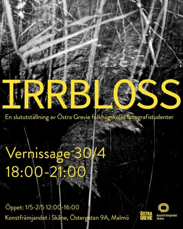 Irrbloss: Östra Grevie folkhögskolas fotografistudenter