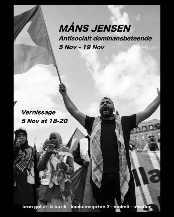 Antisocialt dominansbeteende