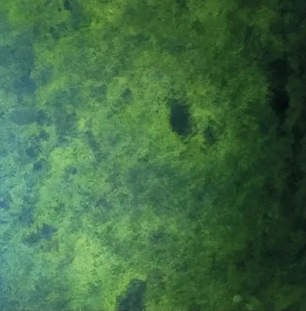 Painting Myself Back To Yellow